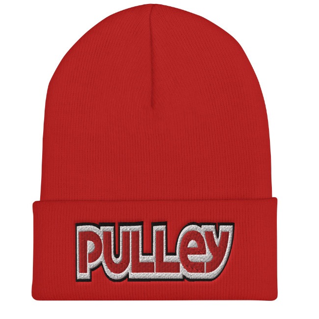 Pulley / �ס��꡼ - Beanie �ӡ��ˡ����˥å�˹��(5��)