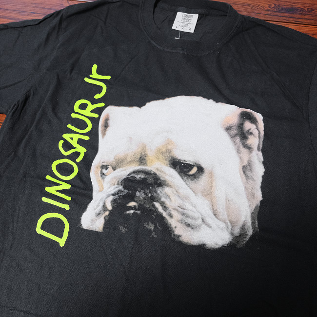 ��¨Ǽ��Dinosaur Jr. / �����ʥ���������˥� - Whatever is Cool With Me T�����(�֥�å�)