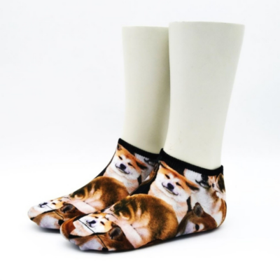 JAPAN　柴犬柄　（THM513000-040）