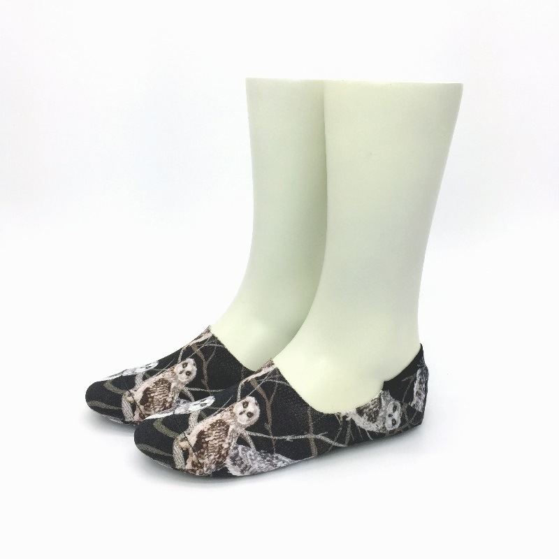 OWL(�������