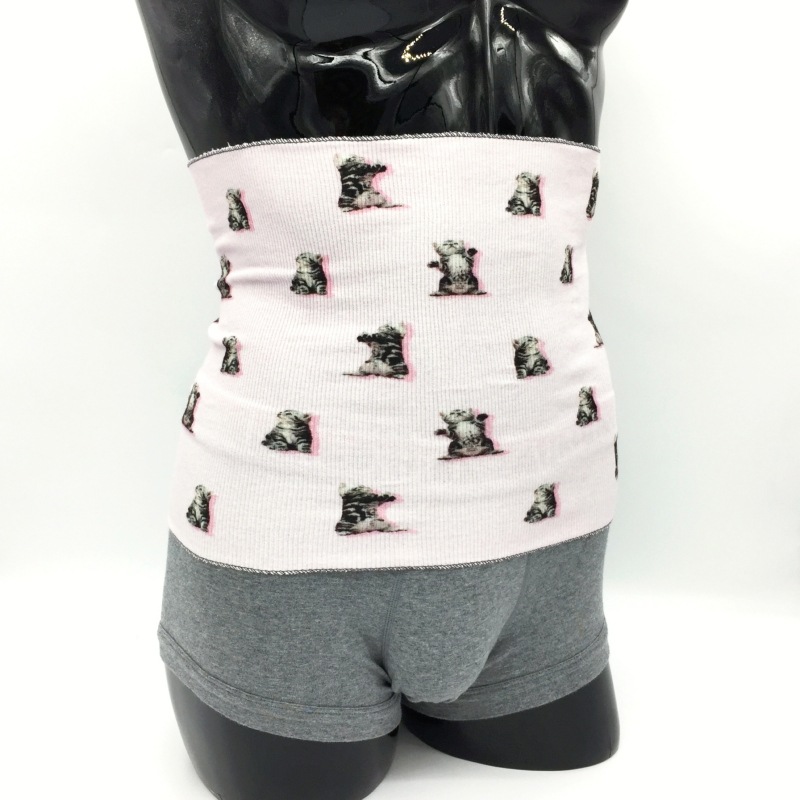 AMERICAN SHORT HAIR HARAMAKI(����ꥫ�󥷥硼�ȥإ����ϥ�ޥ���