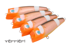 Terrier! Bull 85 Anemonefish 　テリア ブル 85 アネモネフィッシュ 