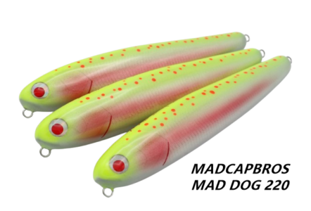 新品　マッドキャップブロス MAG-1 D200 マグワン　白アワビ Madcapbros マッドキャップブロス MAG-Ⅰ DIVE200W マグワン