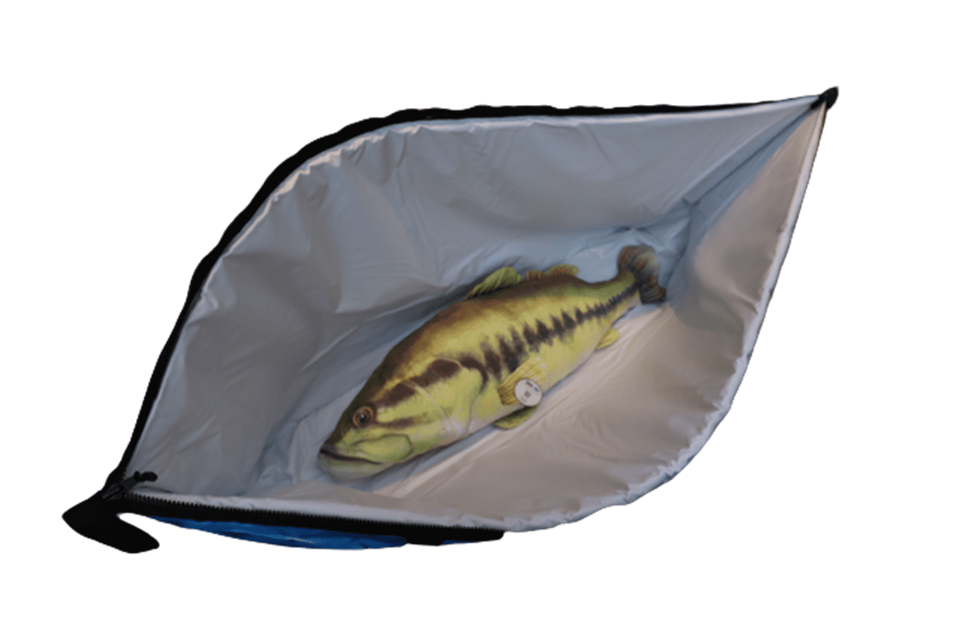 AO Coolers 6ft Fish Carry エーオークーラーズ 6フィートフィッシュ