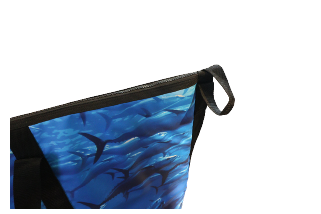 AO Coolers 6ft Fish Carry エーオークーラーズ 6フィートフィッシュ