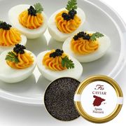 スペイン産フレッシュキャビア ナカリ 12g缶|キャビア|厳選素材