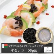 マダガスカル産フレッシュキャビア オセトラ 50g缶|キャビア|厳選素材