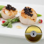 フランス産フレッシュキャビア シグネチャー 500g缶 オープナー シェルスプーン付|キャビア|厳選素材