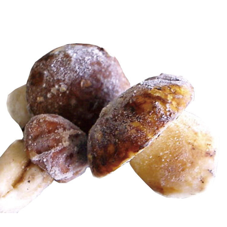 イタリア産 冷凍 ポルチーニ茸