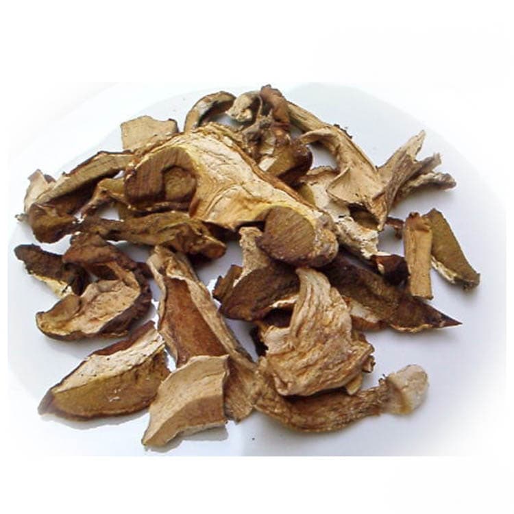 イタリア産 乾燥ポルチー二茸 20g 【宅配便】