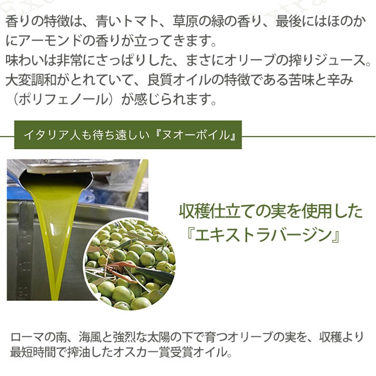 2025年度入荷 新油 イアノッタ エキストラ バージン オリーブオイル 500ml×3本