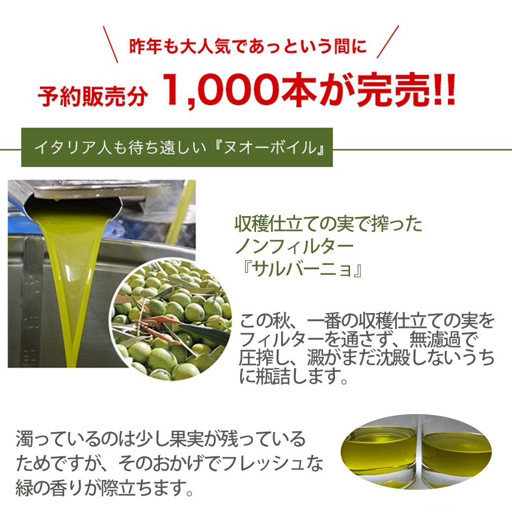 2025年度予約販売開始 新油 ヌオーボオイル サルバーニョ ノヴェッロ ノベッロ 500ml×12本