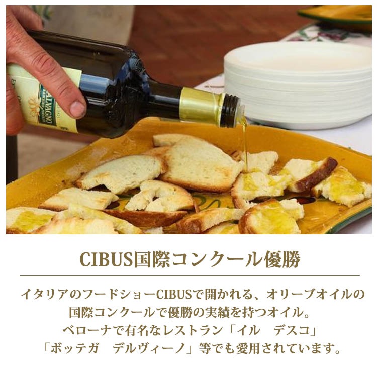 サルバーニョ エキストラバージン オリーブオイル 500mlx12本