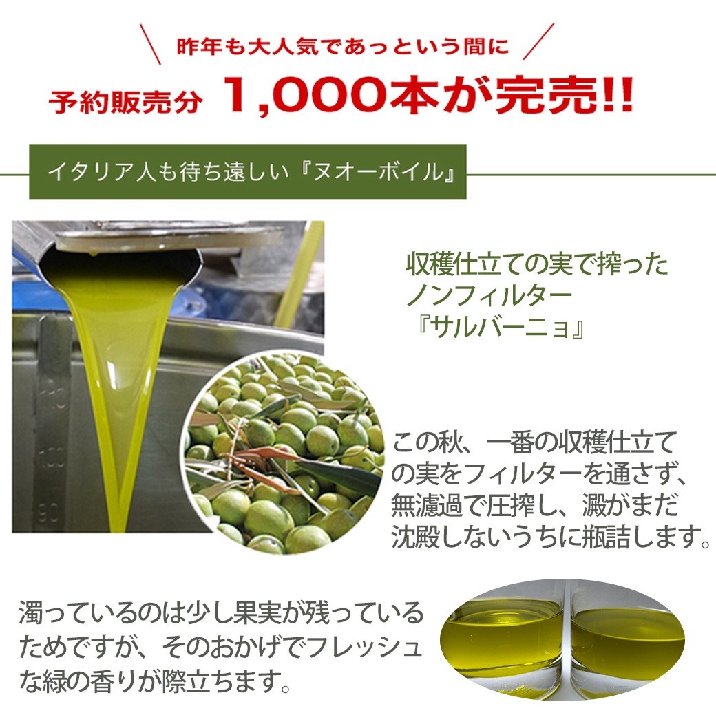 2025年度予約開始 ヌオーボオイル サルバーニョ ノヴェッロ ノベッロ 500ml