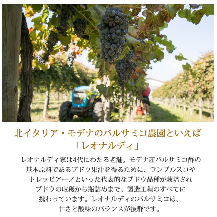 白バルサミコ バルサマ オロノービレ 4年熟成 250ml Leonardi