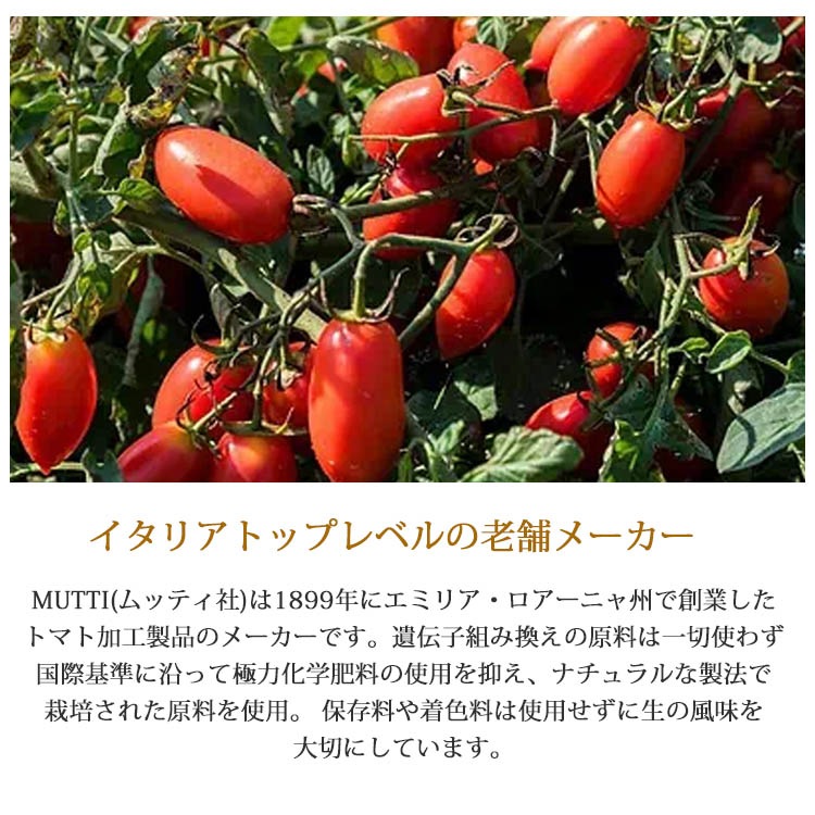 トマトビネガー 500ml MUTTI 
