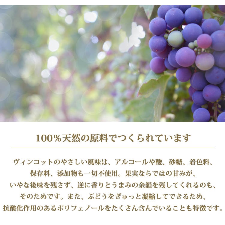 ヴィンコット オリジナル 250ml ジャンニ・カロジュリ