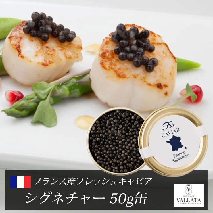 フランス産フレッシュキャビア シグネチャー 50g缶