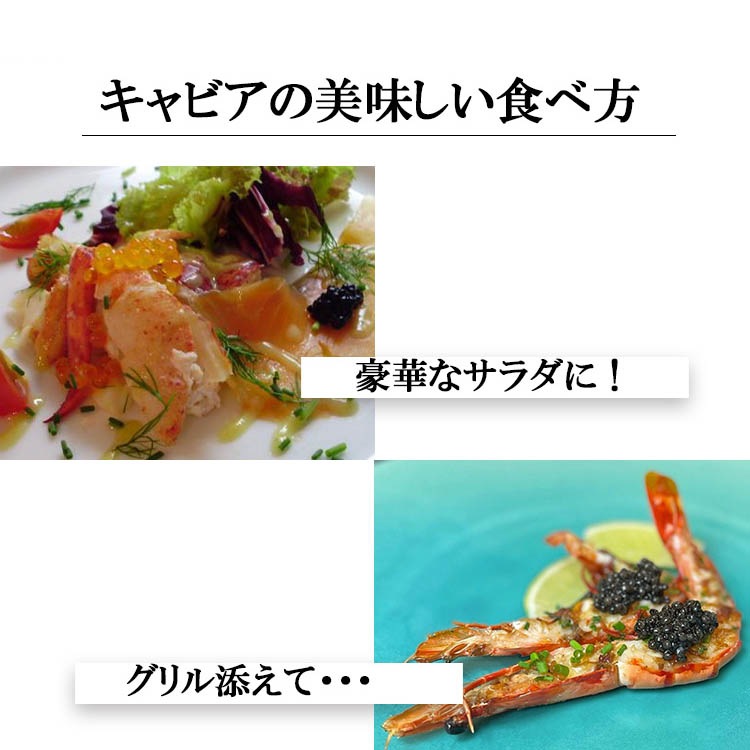 フランス産フレッシュキャビア シグネチャー 50g缶