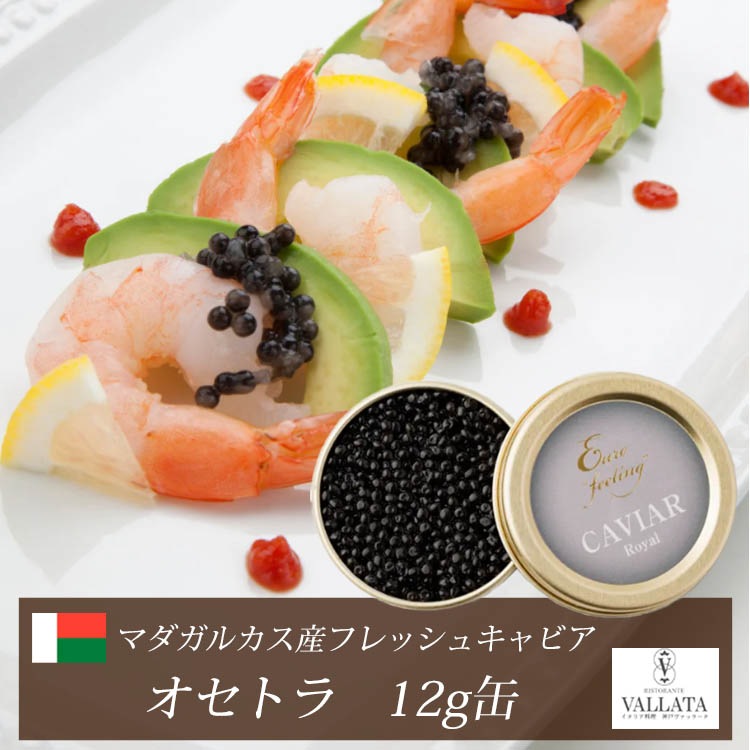 マダガスカル産フレッシュキャビア オセトラ 12g缶