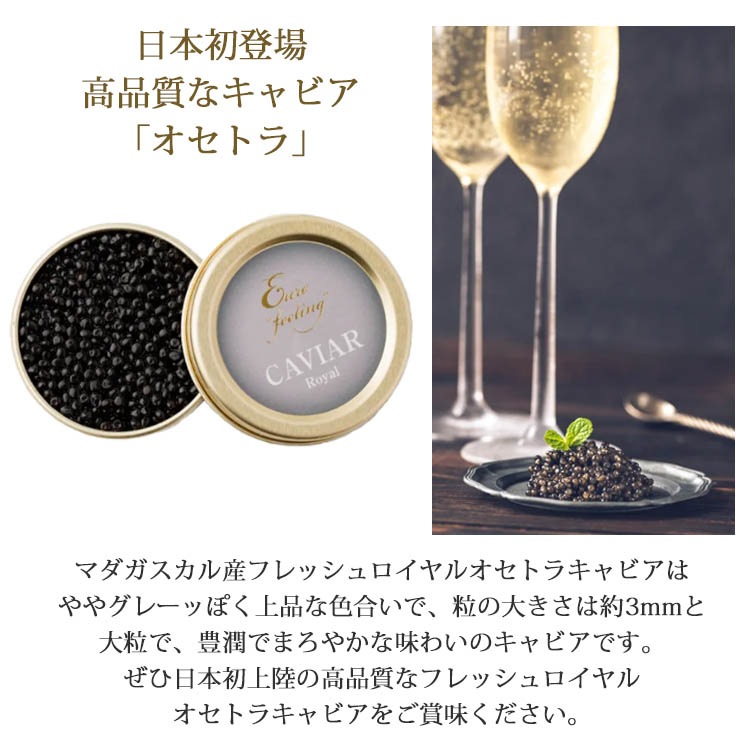 マダガスカル産フレッシュキャビア オセトラ 50g缶