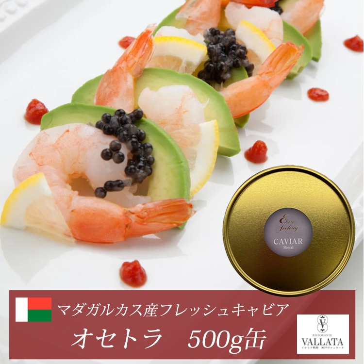 マダガスカル産フレッシュキャビア オセトラ 500g缶 オープナー シェルスプーン付