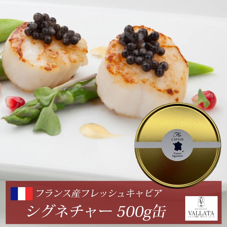フランス産フレッシュキャビア シグネチャー 500g缶 オープナー シェル
