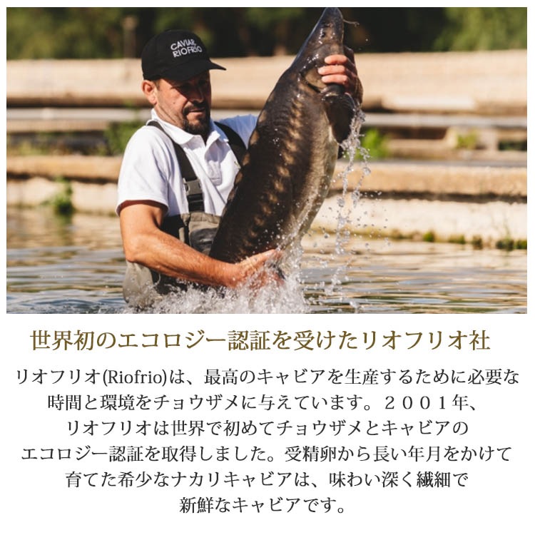 スペイン産フレッシュキャビア ナカリ 500g缶 オープナー シェルスプーン付