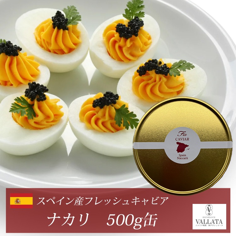 スペイン産フレッシュキャビア ナカリ 500g缶 オープナー シェルスプーン付