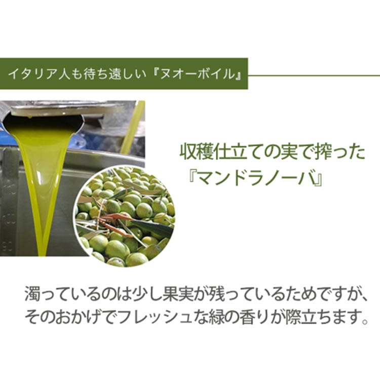 2025年度入荷 ヌオーボイイル マンドラノーバ　750ml　エキストラバージンオリーブオイル