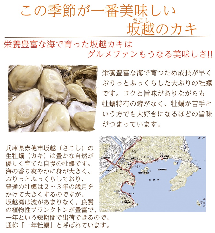 坂越のカキのグラタン