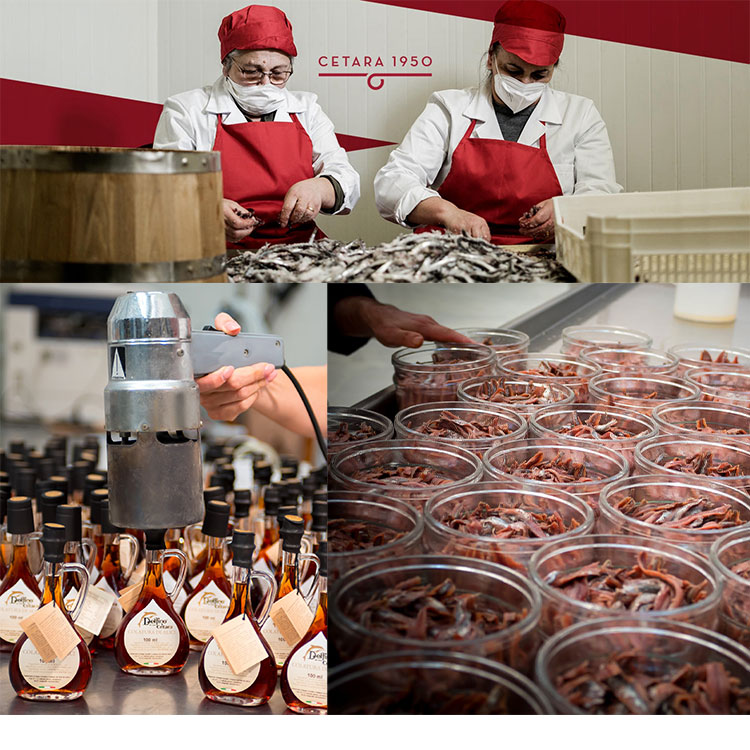 チェターラ産 コラトゥーラ・ディ・アリーチ ガルム 40ml