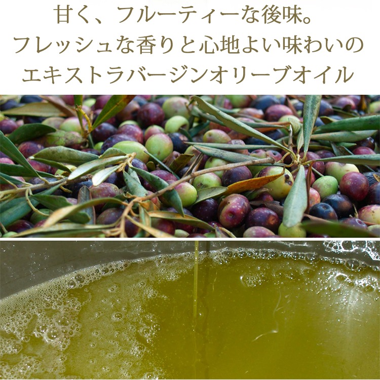 アルドイノ社【ARDOINO】 エキストラバージンオリーブオイル フルクトゥス 3000ml　3L
