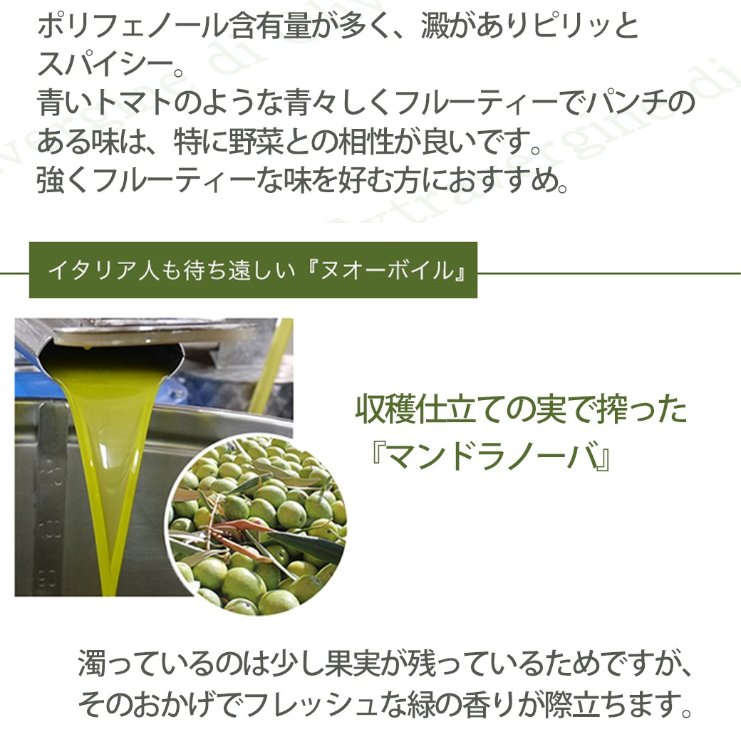 2024年度入荷 ヌオーボオイル マンドラノーバ 500ml缶