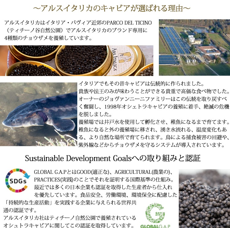 アルスイタリカ　イタリア産キャビア　ダヴィンチ(アドリアチョウザメ)　ソフトパスチュライズ　50g　7205 代引き不可 アルスイタリカ イタリア産キャビア ダヴィンチ(アドリアチョウザメ