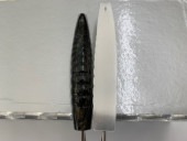 �ݳѥ���Х�ST��12��25T��9��