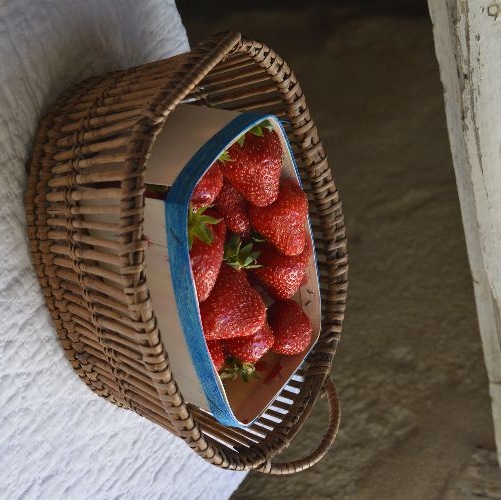 19世紀 南仏の農婦のパニエ | インテリア | | Trio et Trico