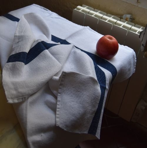 19��������Vigneron�ʥ����˥����ˤ�������ǥ������Х����������ۡ�����