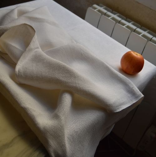 ���ʤ���餷�ˡ�����19��������̱�Υ����֥��ͥ�NAP��98��138�ѡ�����