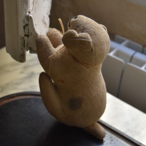 �֤��İ��Ǥ���19���������̤�����ߡ������ȥ����塼��
