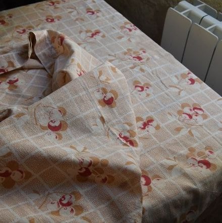 �������ܤ��Ρ����餷�������Τ������ܤ��������ۡ���ɡ�150��125��