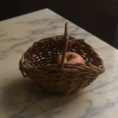*�¤λ�*��̱�Υ����ԥ˥�������ѥ˥�������