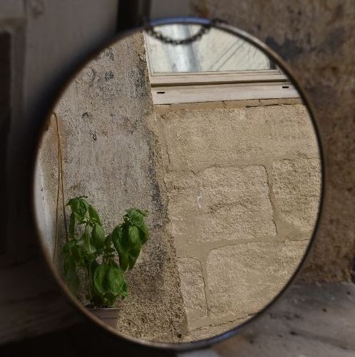 1950ǯ����miroir de barbier��΢�֡ˡ�����