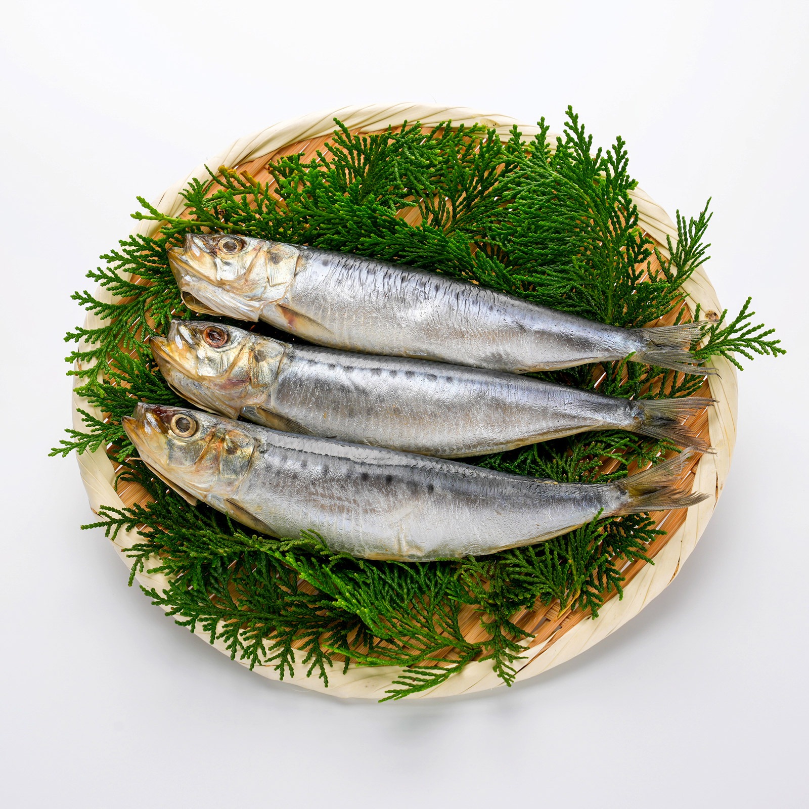 銚子産 いわし大連 冷凍 98g×3尾×2袋 | 季節の鮮魚 | おみやげ市場