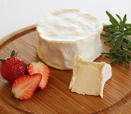 11/2122ȯ䡦ͽۥ֥ꥢ󡡥ե̵͡оݳ