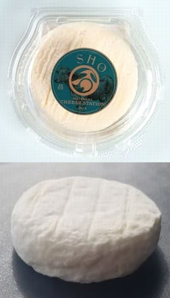 11/20ȯ䡪ͽ桪ۥǥ꡼եٻλؾ١̵оݳ