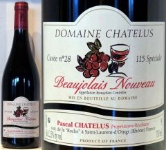 2023 �ܡ������ �̡��� "115���ڥ����" D.����ƥ륹��6�ܥ��åȡ���������