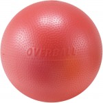 DANNO ダンノ バランスボール ソフトギムニク RED