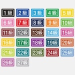 HIKARI SPORTS ヒカリスポーツ プリント刺繍ワッペン 進級 数字 長方形 10枚入