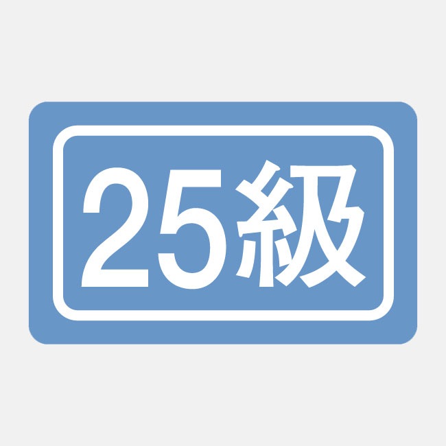 HIKARI SPORTS ヒカリスポーツ プリント刺繍ワッペン 進級 数字